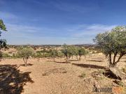 Quinta com vista 360º, Alandroal