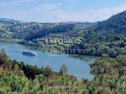 Quinta com vistas sobre o Rio Douro, Sebolido