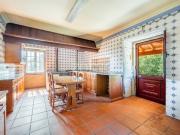 Quinta da Chieira Cinfães Moradia T3 renovada e 7 casas... Quinta da Chieira Cinfães Moradia T3 renovada e 7 casas...