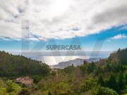 Quinta da Choupana Um Legado Verde no Coração do Funchal