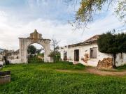 Quinta das Queimadas – Um Projeto para Sonhadores no...