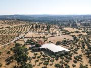 Quinta de 3,05 hectares com duas casas e várias construções