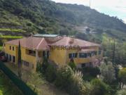 QUINTA de 1 hectare, com moradia de 500 m2, jardim e...