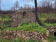 Quinta de ~3ha com duas moradias para reconstrução total