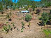 Quinta Isolada com Margem de Rio e Potencial de Eco...