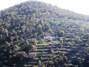 Quinta de 7 hectares a 10min de Monchique