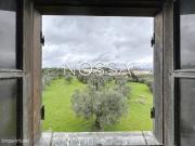 Quinta de Charme a Sul de Alcanena