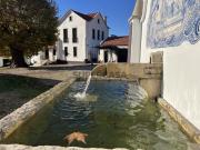 Quinta de charme, do sec. XIX, com 18 ha