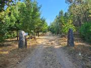 Quinta na Serra da Estrela Ribeira do Porsim Casegas...
