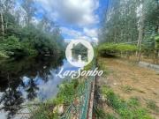 Quinta de Férias com Terreno florestal de 17.717m2 em...