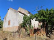 Quinta de Fruta Biológica com cerca de 10.000m2 uma Casa...