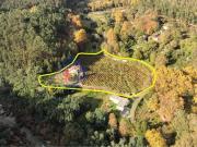 Quinta do Adigueiro – Charme, natureza e produção de...