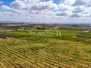 Quinta do Monte da Vinha