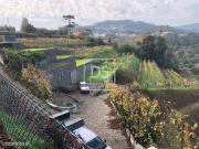 Quinta do Toutial Vinho e turismo projeto aprovado para...