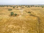 Quinta e Herdade T1, Vale de Santiago, Odemira | BPI...