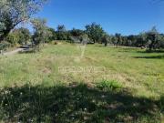Quinta e Herdade T2, Beco, Ferreira do Zêzere | BPI...