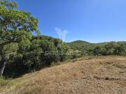Quinta e Herdade T2, Grândola e Santa Margarida Da...