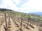 Quinta e Herdade T2, São Martinho de Mouros, Resende |...