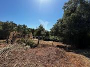 Quinta e Herdade T3, Landal, Caldas da Rainha | BPI...