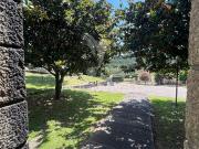 Quinta e Herdade T4+3, Sande Vila Nova e Sande São...