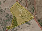 Quinta e Herdade T4, Fortios, Portalegre | BPI Expresso...