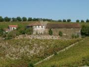 Quinta e Herdade T5, Favaios, Alijó | BPI Expresso...