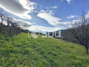 Quinta e Herdade T5, Santa Marinha Do Zêzere, Baião |...