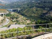 Quinta e Moradia de luxo