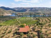 Quinta em Barca D'Alva Douro
