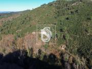 Quinta em Bustelo Amarante, Amarante, Bustelo carneiro...