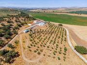 Quinta em Campo Maior, para investimento em turismo rural.