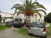 Quinta em Cascais com 10.000m2