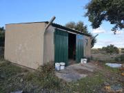 QUINTA EM CASTELO BRANCO | 24033759030
