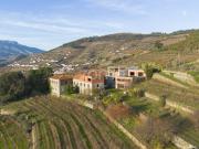 Quinta em Mesão Frio UNESCO com 6,6ha