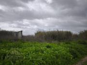 Quinta em Monte de Caparica,Almada, com lote de 23 497...