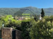 Quinta em plena Serra da Arrábida Aldeia Grande com casa...