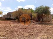 Quinta em Santa Catarina da Fonte do Bispo