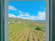 Quinta em Santa Marta de Penaguião, com 50.000 m² –...