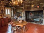 Quinta Rural e Agrícola em Serreleis