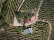 Quinta de Charme no Coração do Douro – Uma Oportunidade...