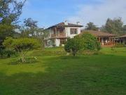 Quinta en arriendo Puembo 4000m2 terreno 4 dorm