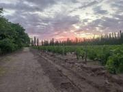 Quinta en General Alvear