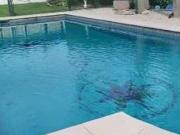 Quinta en Monte Grande, 1.200 m2 de terreno, Pileta Parrilla