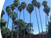 Quinta en San Francisco