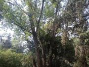 Quinta en venta 4 Dormitorios 3 Baños 2.304Mts2 Virrey...