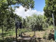 QUINTA EN VENTA EN EJIDO LOS VILLARREALES EN SALINAS...
