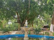 Quinta en venta en Mérida sur