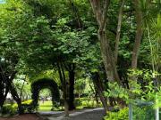 Quinta en Venta Xochitepec Morelos Uso Comercial EVENTOS