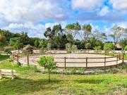 Quinta equestre com 4 hectares de terreno em Algueirão,...