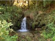 Quinta ’Floresta Encantada’ Um Paraíso Natural no Norte...